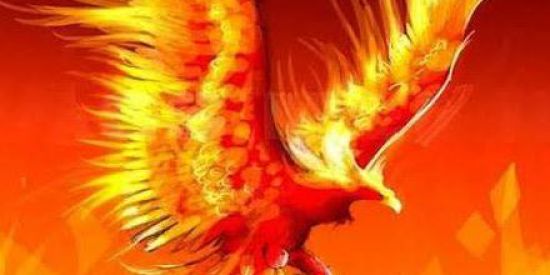 Imagem do grupo de WhatsApp RECRUTAMENTO FÊNIX