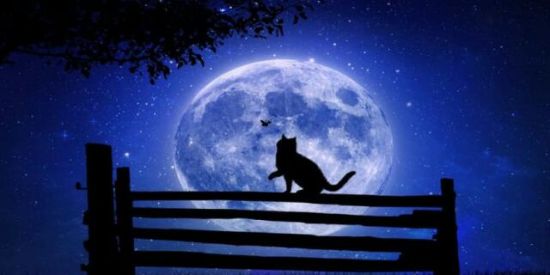 Imagem do grupo de WhatsApp 《📰📚CONTE UMA HISTÓRIA📚📰》