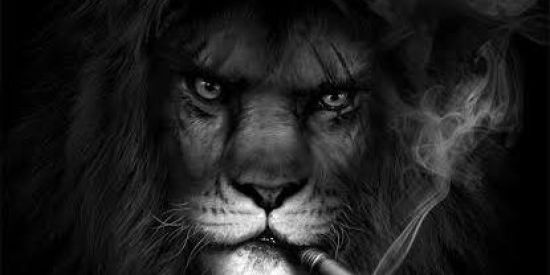 Imagem do grupo de WhatsApp Dominium.