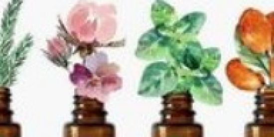 Imagem do grupo de WhatsApp 💧GOTINHAS DA NATUREZA💧🌱💐🍃