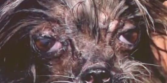 Imagem do grupo de WhatsApp Sem regras 2.0