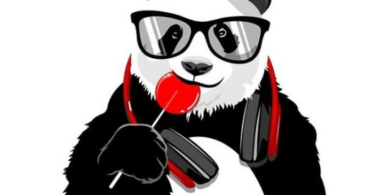 Imagem do grupo de WhatsApp Gangue dos f.d.b.a