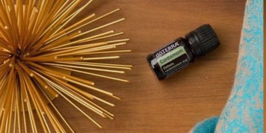 Imagem do grupo de WhatsApp 10ominicurso Vip doterra