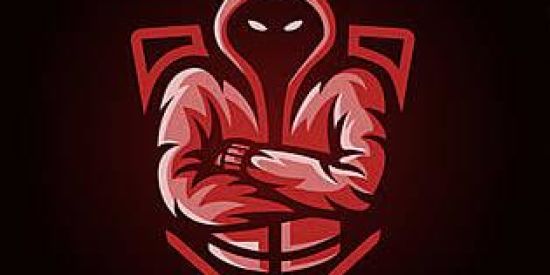 Imagem do grupo de WhatsApp Recrutamento pra guilda