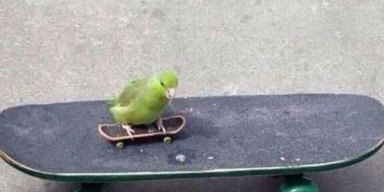 Imagem do grupo de WhatsApp XITEPOSTE 😎🙏🏼