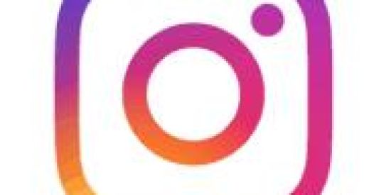 Imagem do grupo de WhatsApp SEGUIDORES NO INSTA🔥