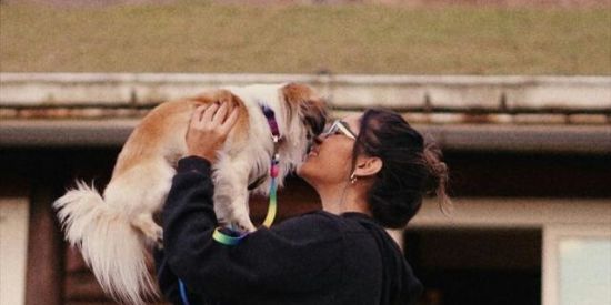 Imagem do grupo de WhatsApp Gigi Furacão🌪️❤️