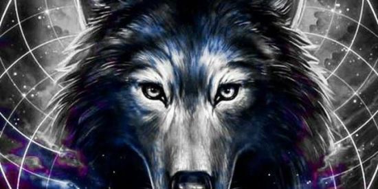 Imagem do grupo de WhatsApp ☆ Followme☆ ( mutirão)