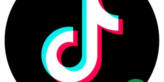 Imagem do grupo de WhatsApp Tik tok Brasil