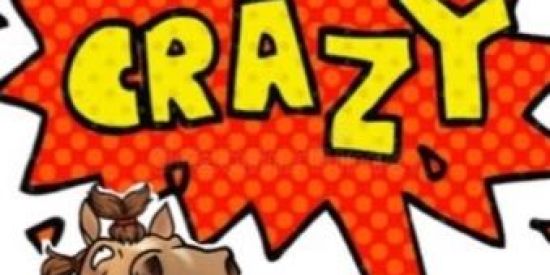 Imagem do grupo de WhatsApp CRAZY