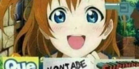 Imagem do grupo de WhatsApp ¦HUMOR E PIADAS¦