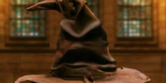 Imagem do grupo de WhatsApp Chapéu Seletor ❤️🦁💚🐍💛🦡💙🦅