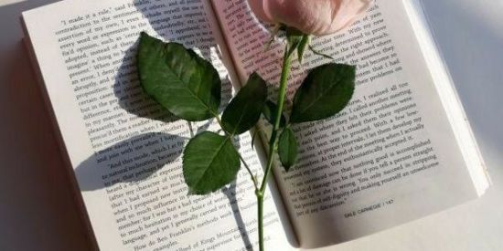 Imagem do grupo de WhatsApp Grupo de Estudos