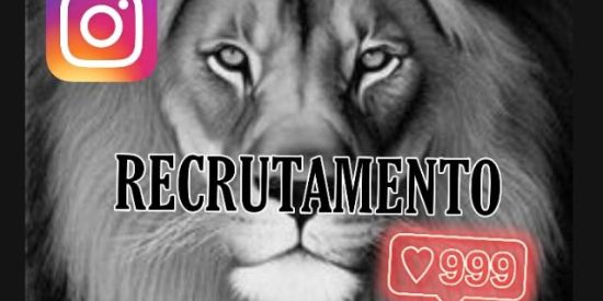 Imagem do grupo de WhatsApp 🦁єρl'ร🦁