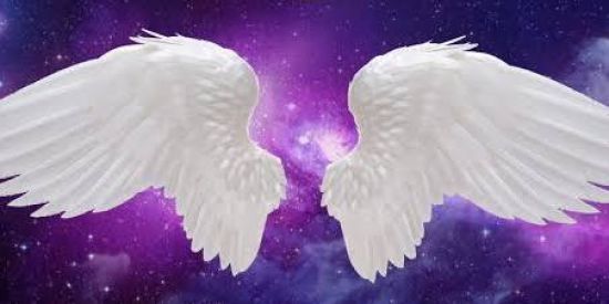 Imagem do grupo de WhatsApp 1️⃣💎 PROJETO ANJO💎