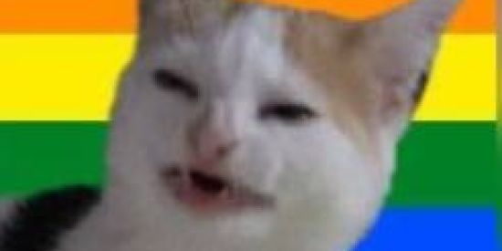 Imagem do grupo de WhatsApp ✨Cidade MEMES KKKღττм🌟