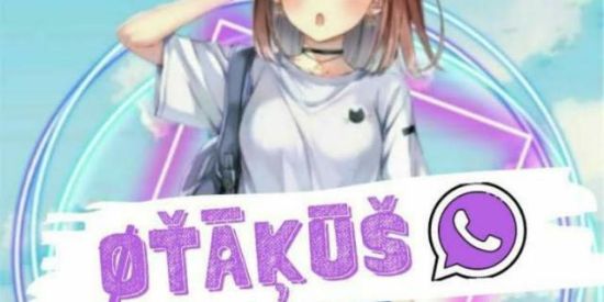 Imagem do grupo de WhatsApp 🍃🌸ØŤĀĶŪŠ🌸🍃(Recepção)