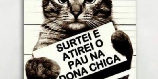 Imagem do grupo de WhatsApp Figurinhas e memes 24h🐱🔥