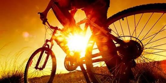 Imagem do grupo de WhatsApp Cicloturismo 🚵🏼‍♂️🌎