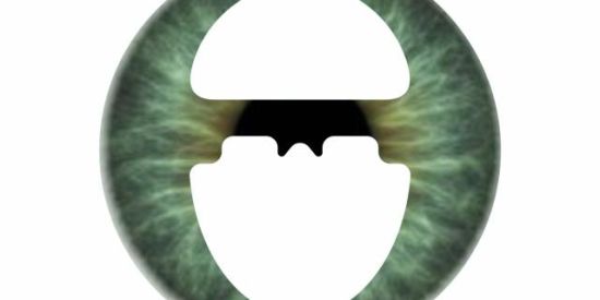 Imagem do grupo de WhatsApp Eu amo óculos by optom