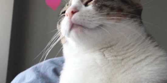 Imagem do grupo de WhatsApp FiGumecas