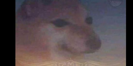 Imagem do grupo de WhatsApp Grupin da zueira UwU