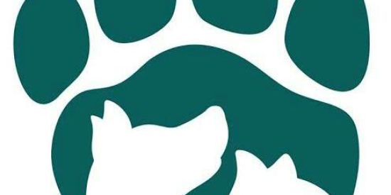 Imagem do grupo de WhatsApp Dica do Veterinário 🐶😺