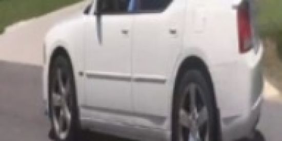 Imagem do grupo de WhatsApp Tuninhos rebaishado😎😎😎