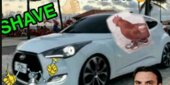 Imagem do grupo de WhatsApp Galináceos de Veloster SP