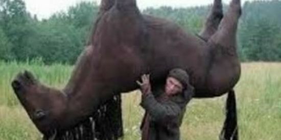 Imagem do grupo de WhatsApp Gang do Ernesto