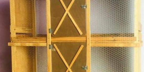 Imagem do grupo de WhatsApp Ideias de Viveros