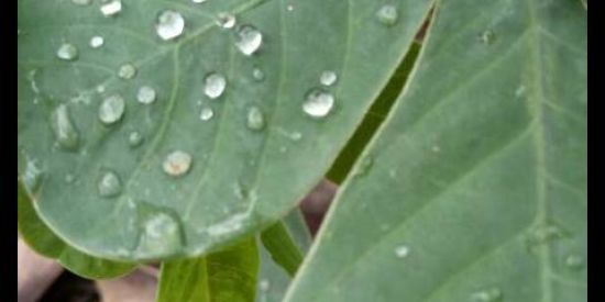 Imagem do grupo de WhatsApp RECRUTAMENTO