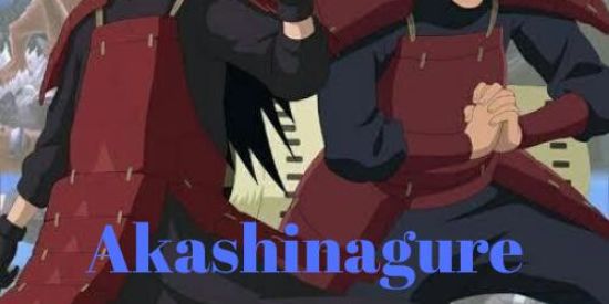 Imagem do grupo de WhatsApp ⛩️Akashin NRPG. Fichas⛩️