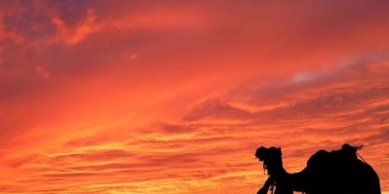 Imagem do grupo de WhatsApp Triagem grupo principal📝🤓