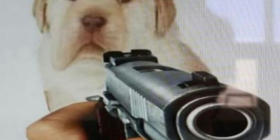 Imagem do grupo de WhatsApp 👑•É MEME É?•👑