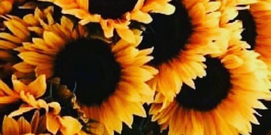 Imagem do grupo de WhatsApp Treinamento adm ou membro