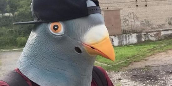 Imagem do grupo de WhatsApp União pombo 👌🤠