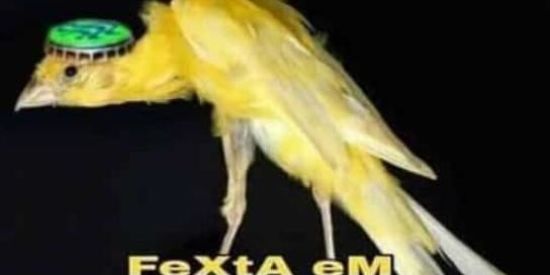 Imagem do grupo de WhatsApp ᴄᴜʀsᴇᴅ ᴢᴀᴘᴇʀᴋᴋ