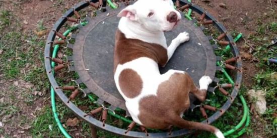 Imagem do grupo de WhatsApp Zueira 100 limites