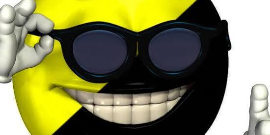 Imagem do grupo de WhatsApp ANCAPISTÃO