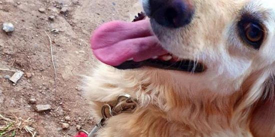 Imagem do grupo de WhatsApp 👑•É MEME É?•👑