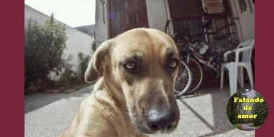 Imagem do grupo de WhatsApp Só os memeiros 🍃🤝🏾