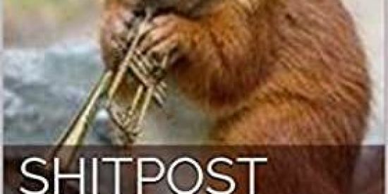 Imagem do grupo de WhatsApp 🤡SHITPOST E A MERDA TODA🤡