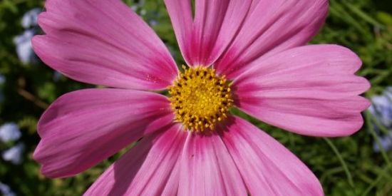 Imagem do grupo de WhatsApp Amizade/paquera Salvador🌚