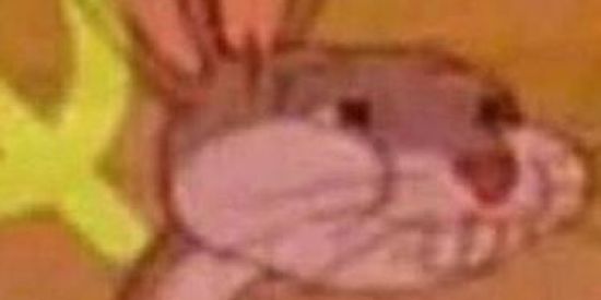 Imagem do grupo de WhatsApp União flasco