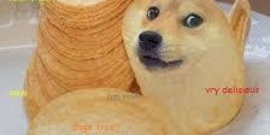 Imagem do grupo de WhatsApp Família 1🐦