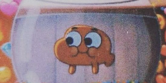 Imagem do grupo de WhatsApp ✨🧡|Recrutamento Projetc Darwin|🧡✨