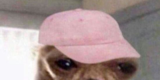 Imagem do grupo de WhatsApp SALATIEL 💍D🐷