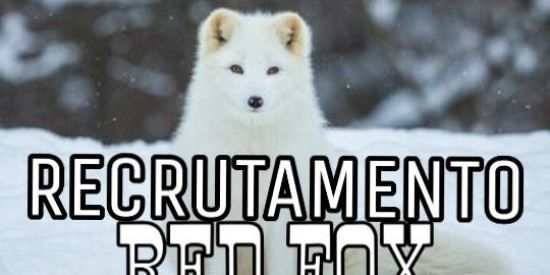 Imagem do grupo de WhatsApp 🦊ʀᴇᴄʀᴜᴛᴀᴍᴇɴᴛᴏ ʀᴅ•ғ🦊