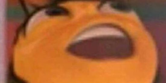 Imagem do grupo de WhatsApp KKKK É MEME😈